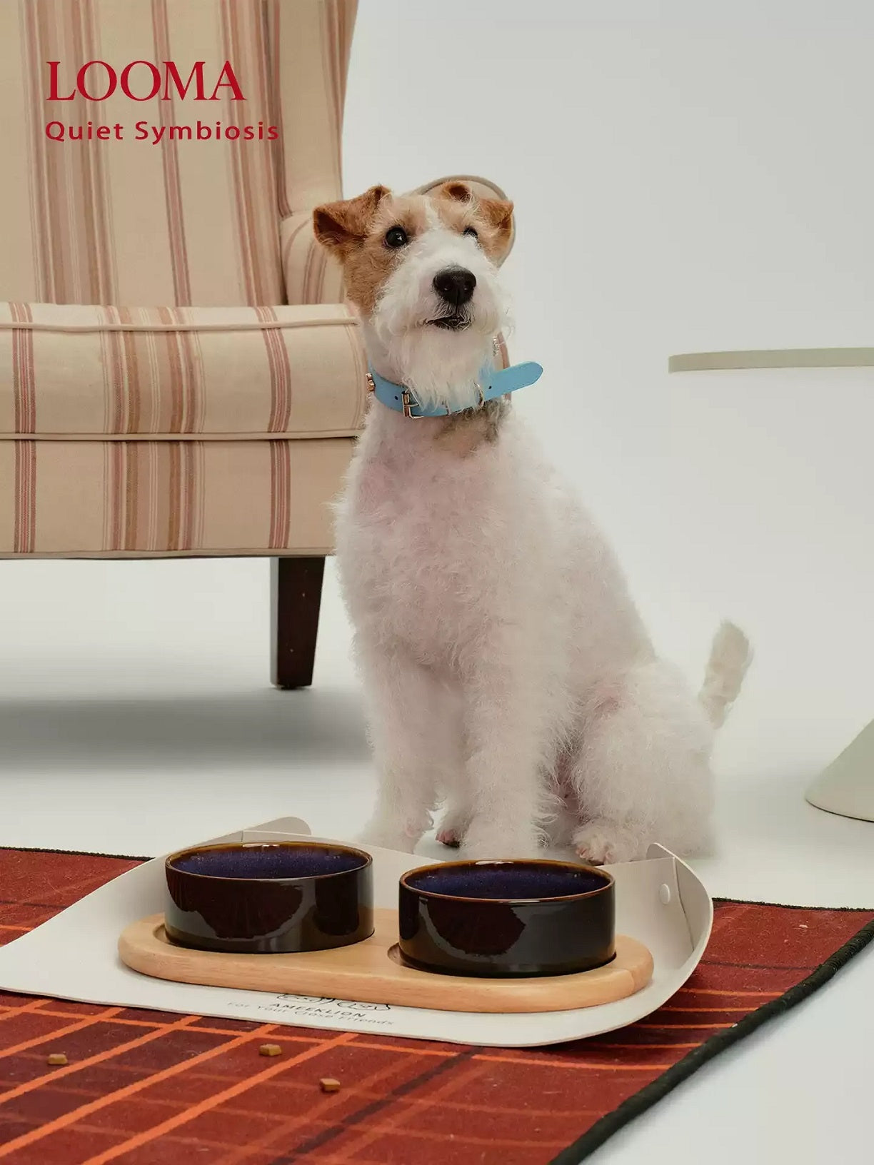 Ceramic Pet Double Bowl Tray Set