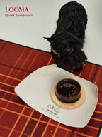 Ceramic Pet Double Bowl Tray Set