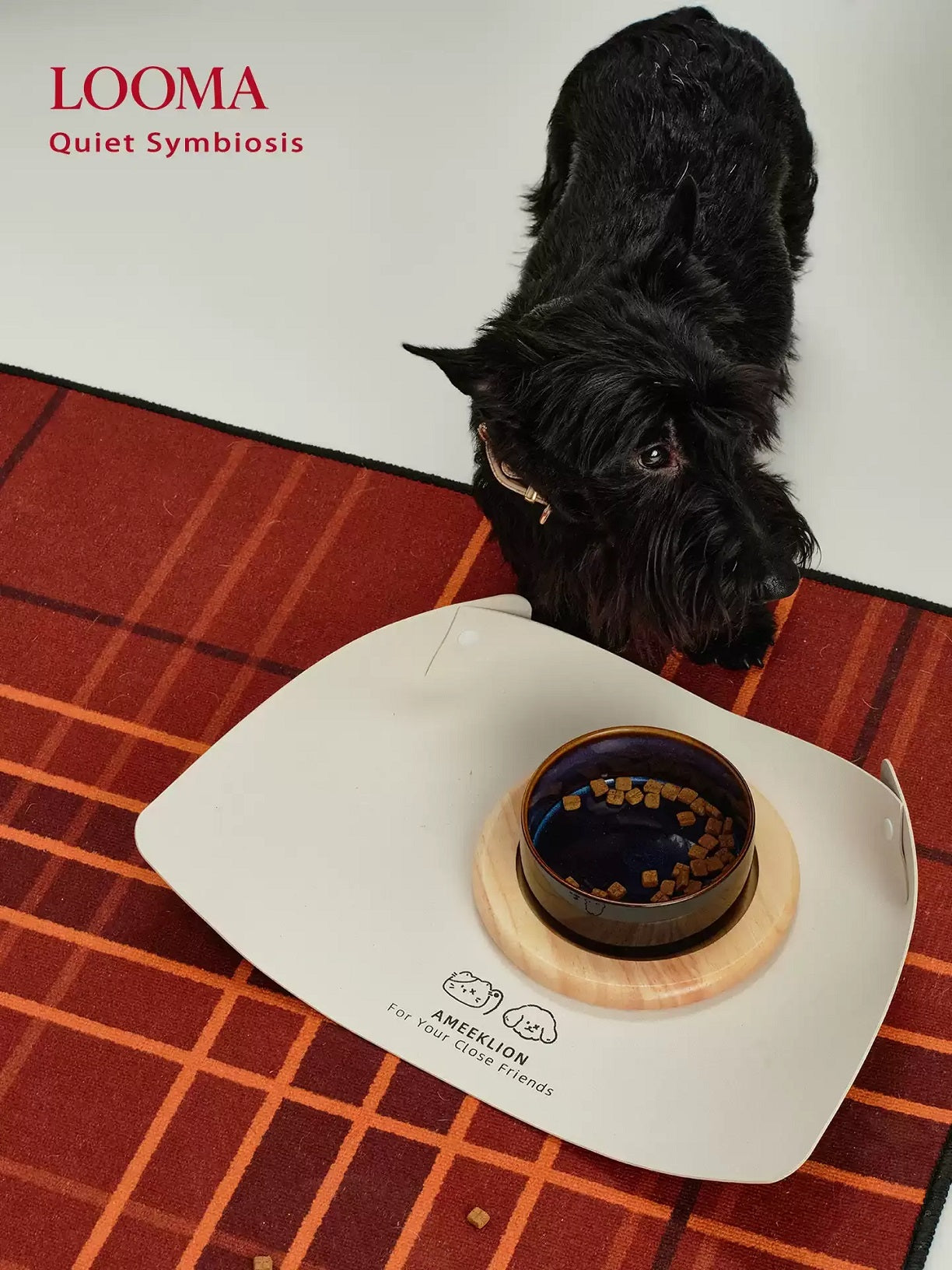 Ceramic Pet Double Bowl Tray Set
