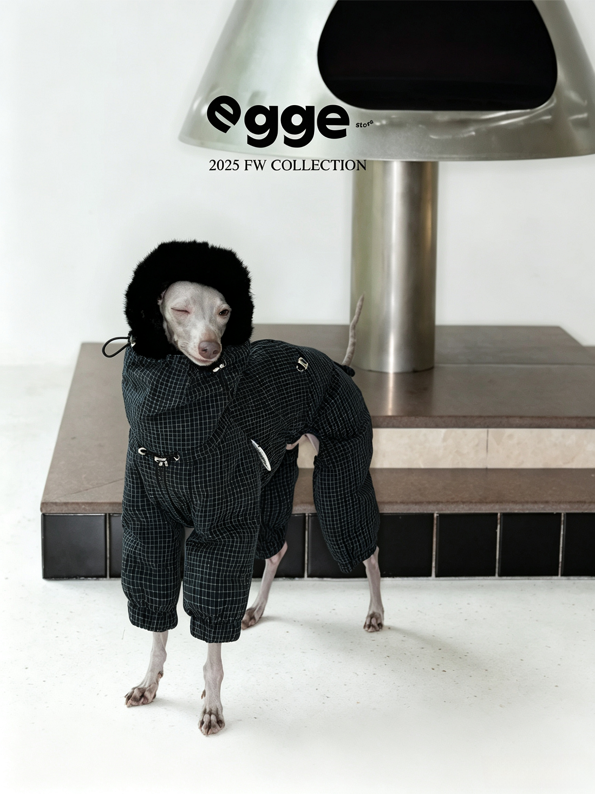 Champion's Pet Down Jacket