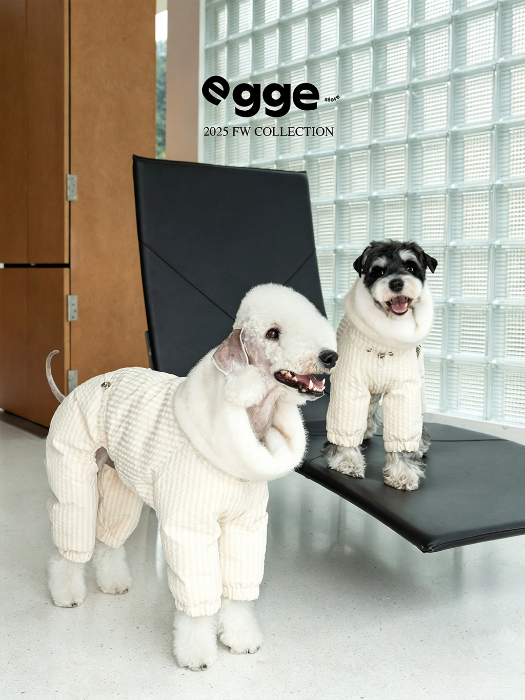 Champion's Pet Down Jacket