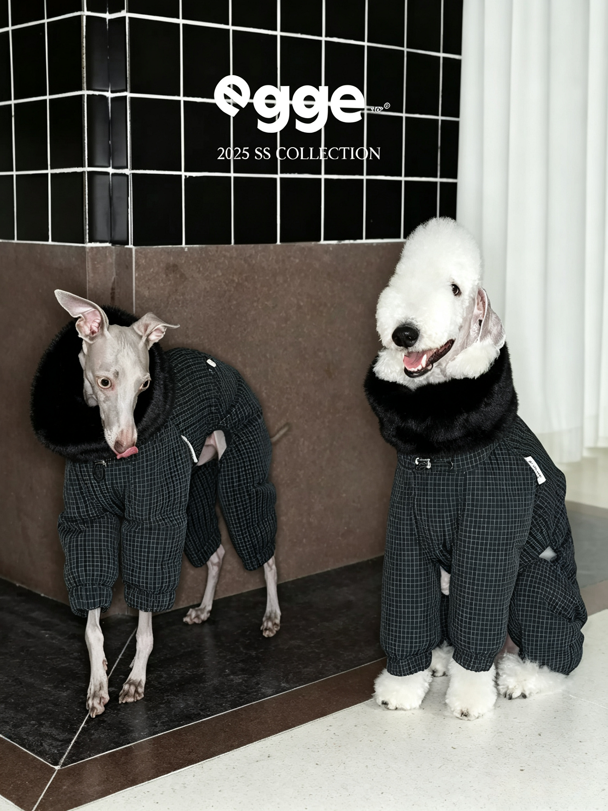 Champion's Pet Down Jacket