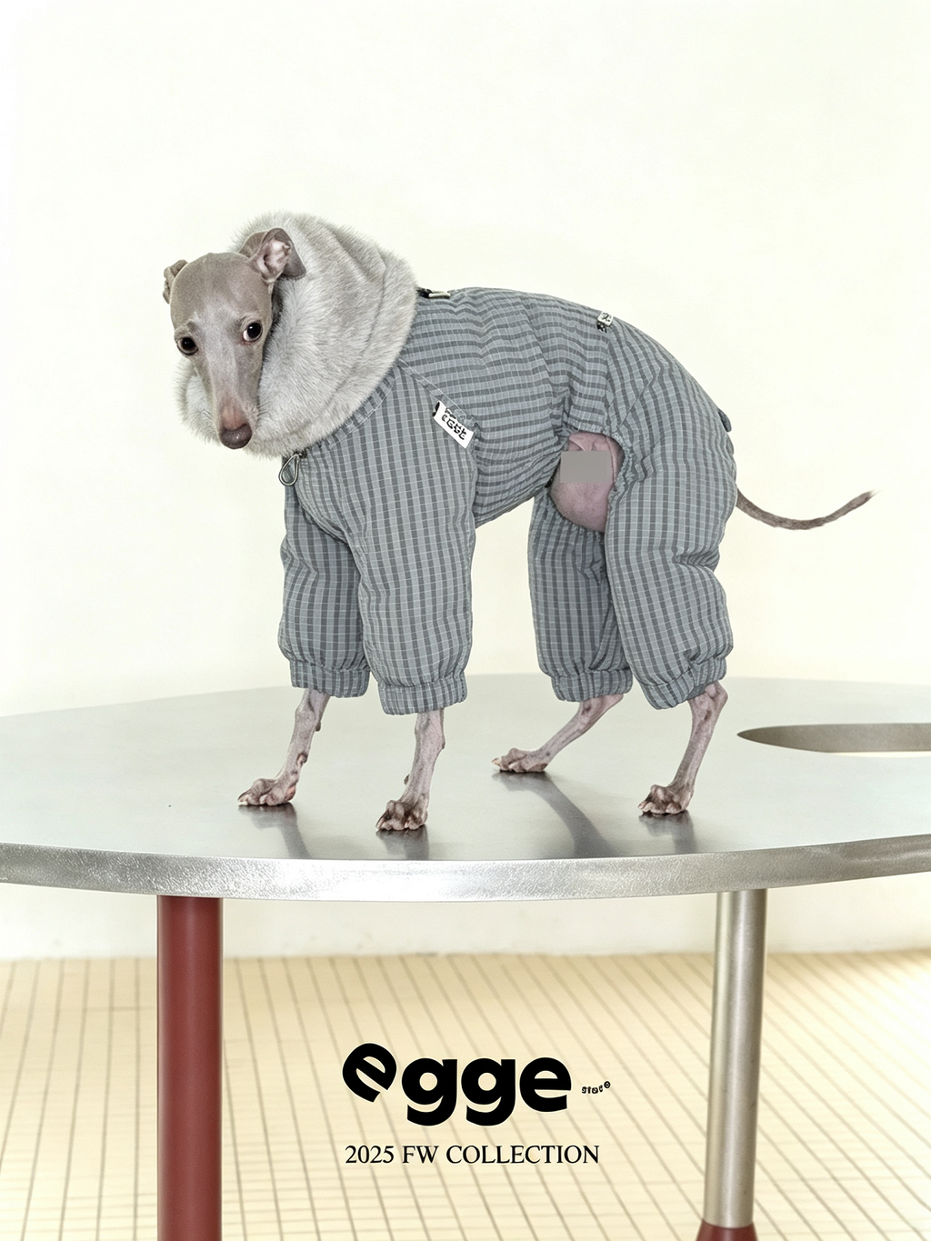 Champion's Pet Down Jacket