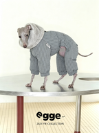 Champion's Pet Down Jacket