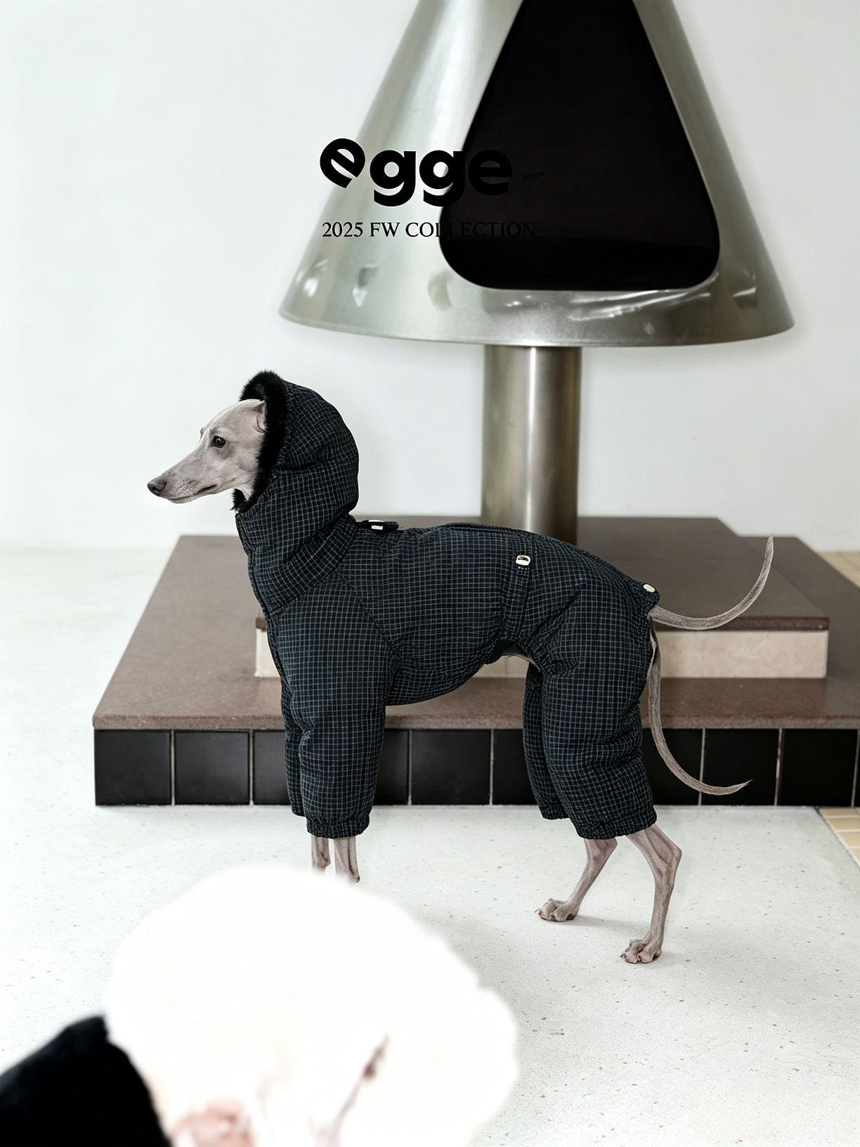 Champion's Pet Down Jacket