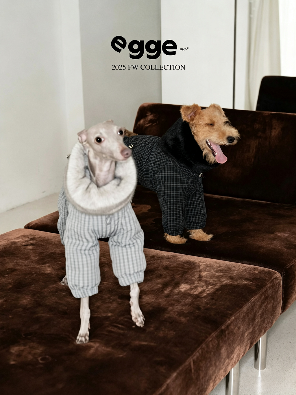 Champion's Pet Down Jacket