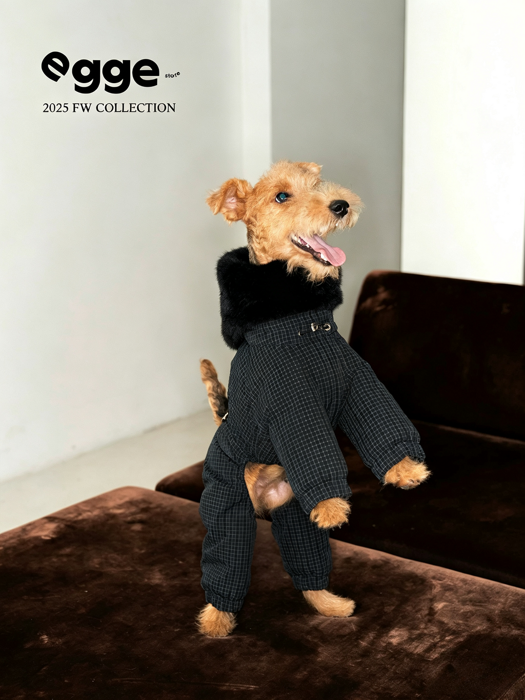 Champion's Pet Down Jacket