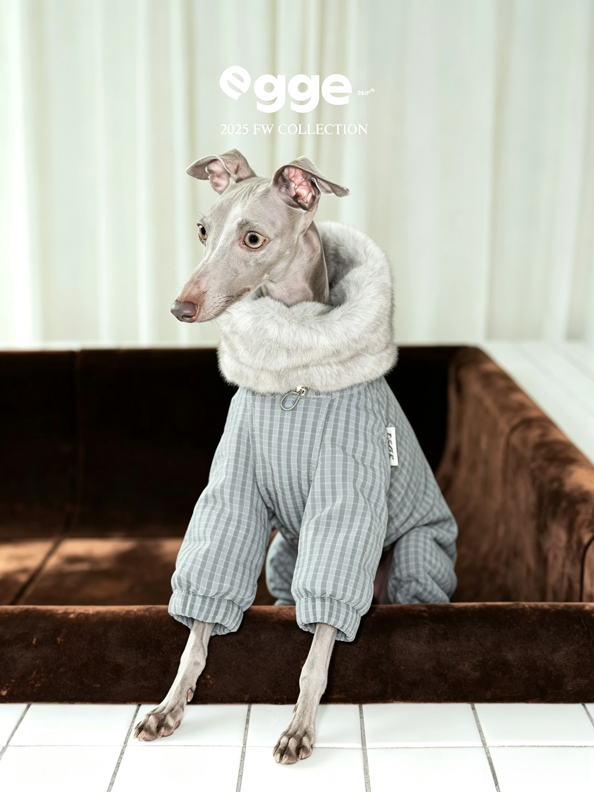 Champion's Pet Down Jacket