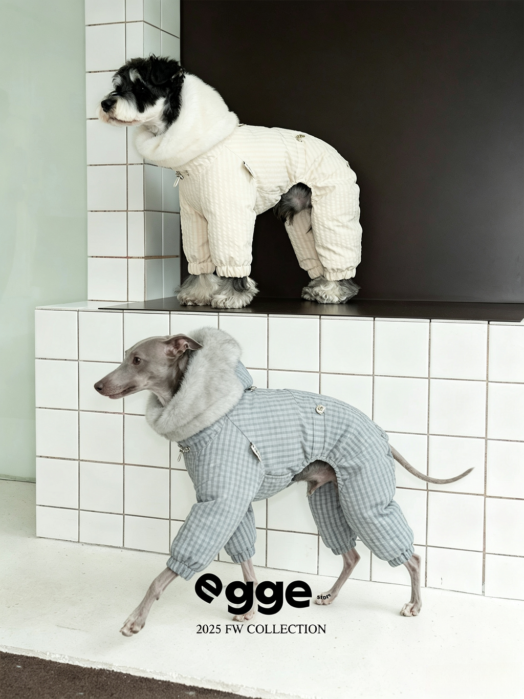 Champion's Pet Down Jacket