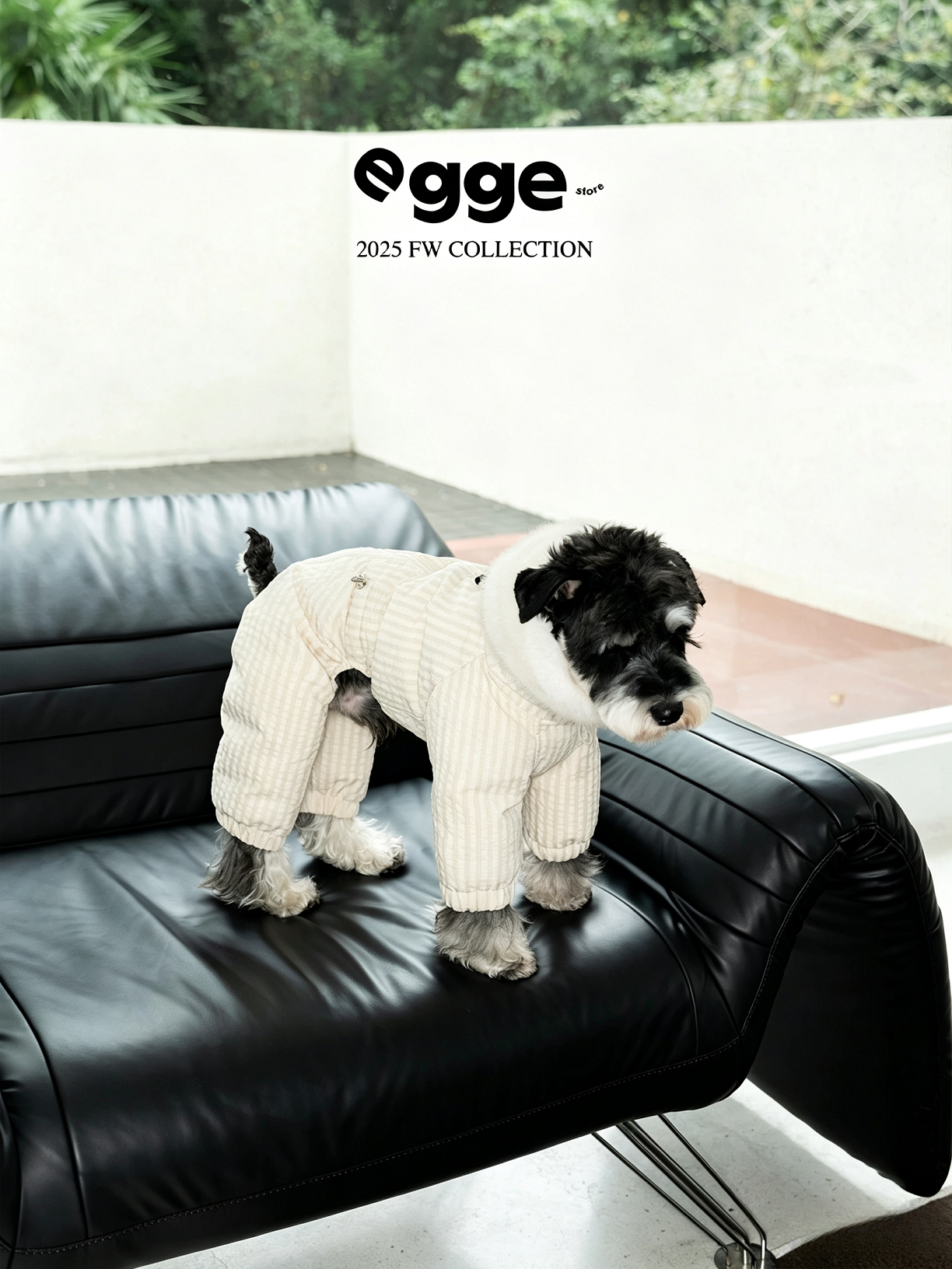 Champion's Pet Down Jacket