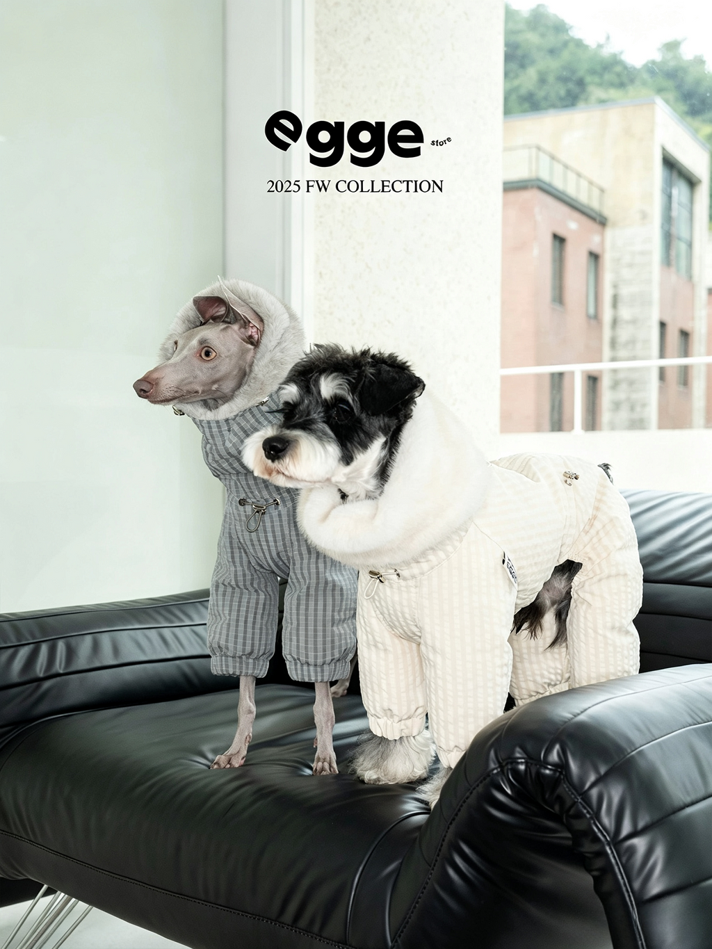 Champion's Pet Down Jacket