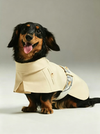 Color-Blocked Belted Pet Trench Coat