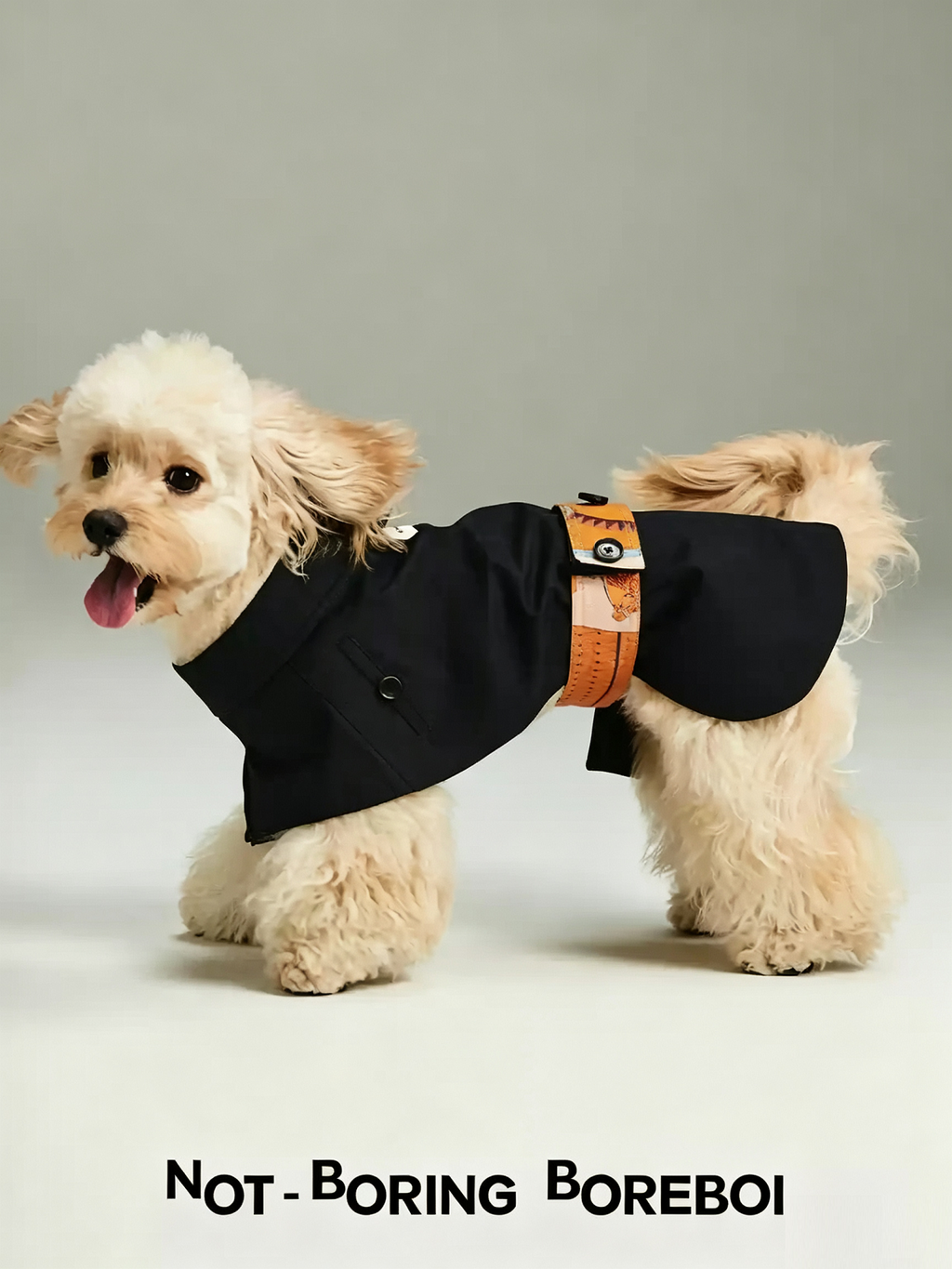 Color-Blocked Belted Pet Trench Coat