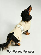 Color-Blocked Belted Pet Trench Coat