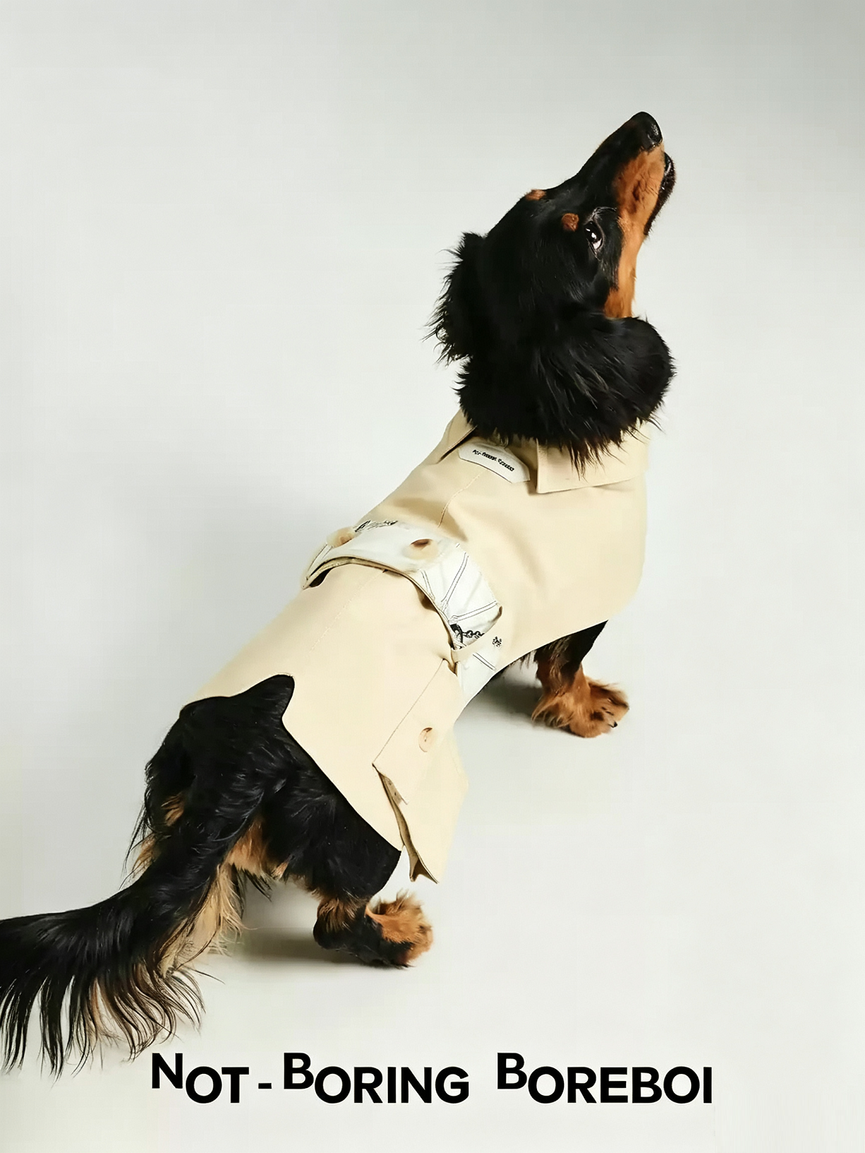 Color-Blocked Belted Pet Trench Coat