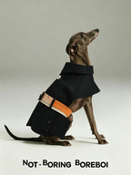 Color-Blocked Belted Pet Trench Coat