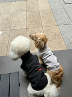 Color-blocked Lyocell turtleneck half-zip pet sweatshirt