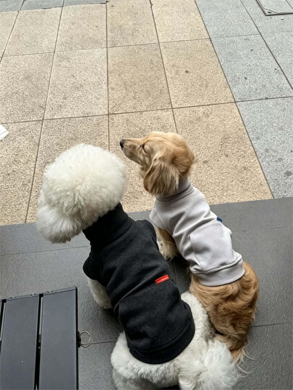 Color-blocked Lyocell turtleneck half-zip pet sweatshirt