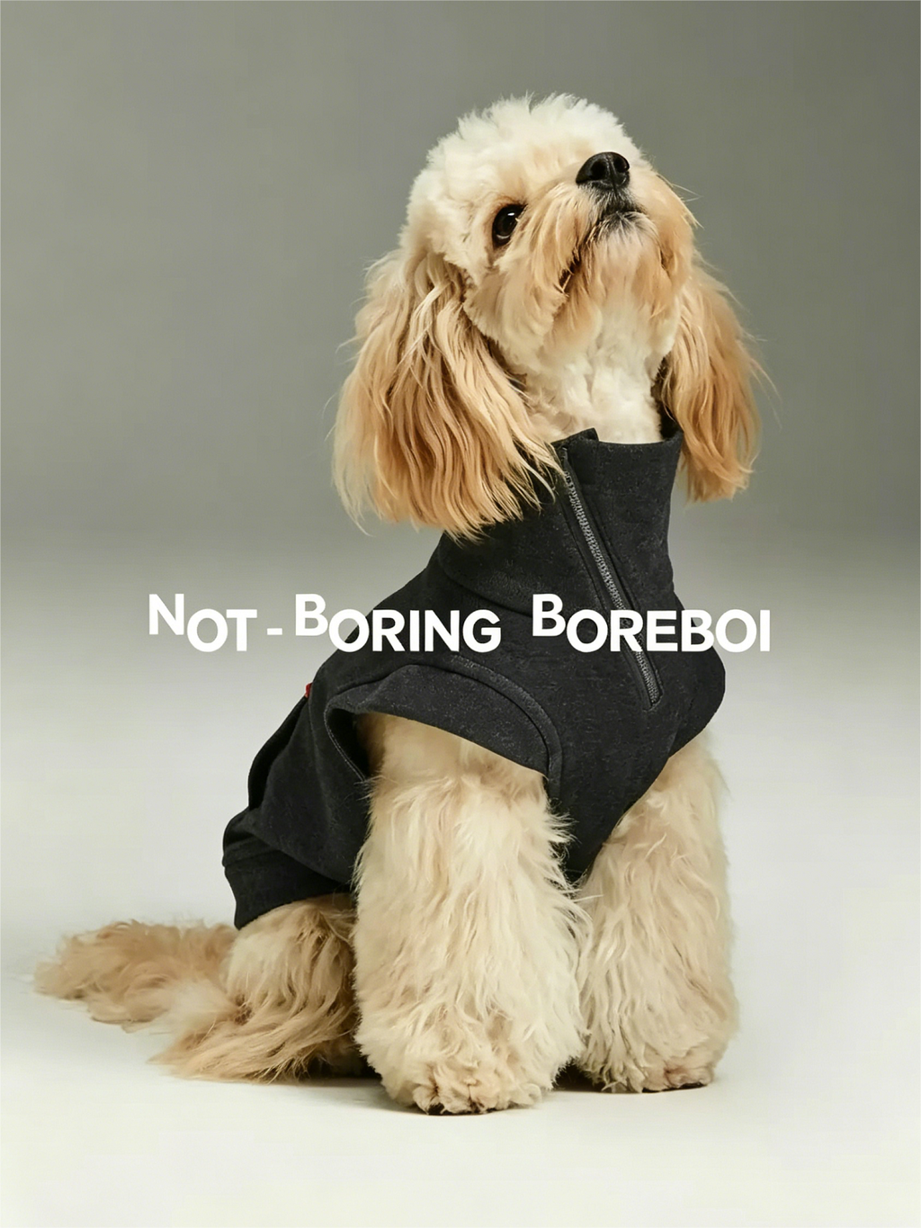 Color-blocked Lyocell turtleneck half-zip pet sweatshirt