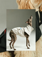 Color-blocked Lyocell turtleneck half-zip pet sweatshirt