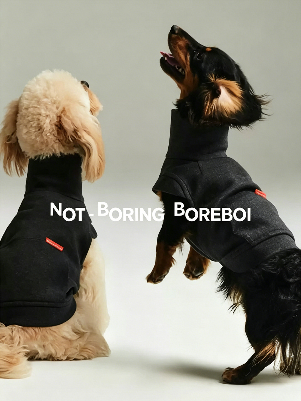 Color-blocked Lyocell turtleneck half-zip pet sweatshirt