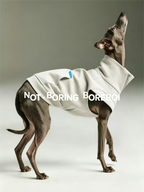 Color-blocked Lyocell turtleneck half-zip pet sweatshirt