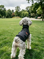 Color-blocked Lyocell turtleneck half-zip pet sweatshirt