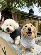 Color-blocked Lyocell turtleneck half-zip pet sweatshirt