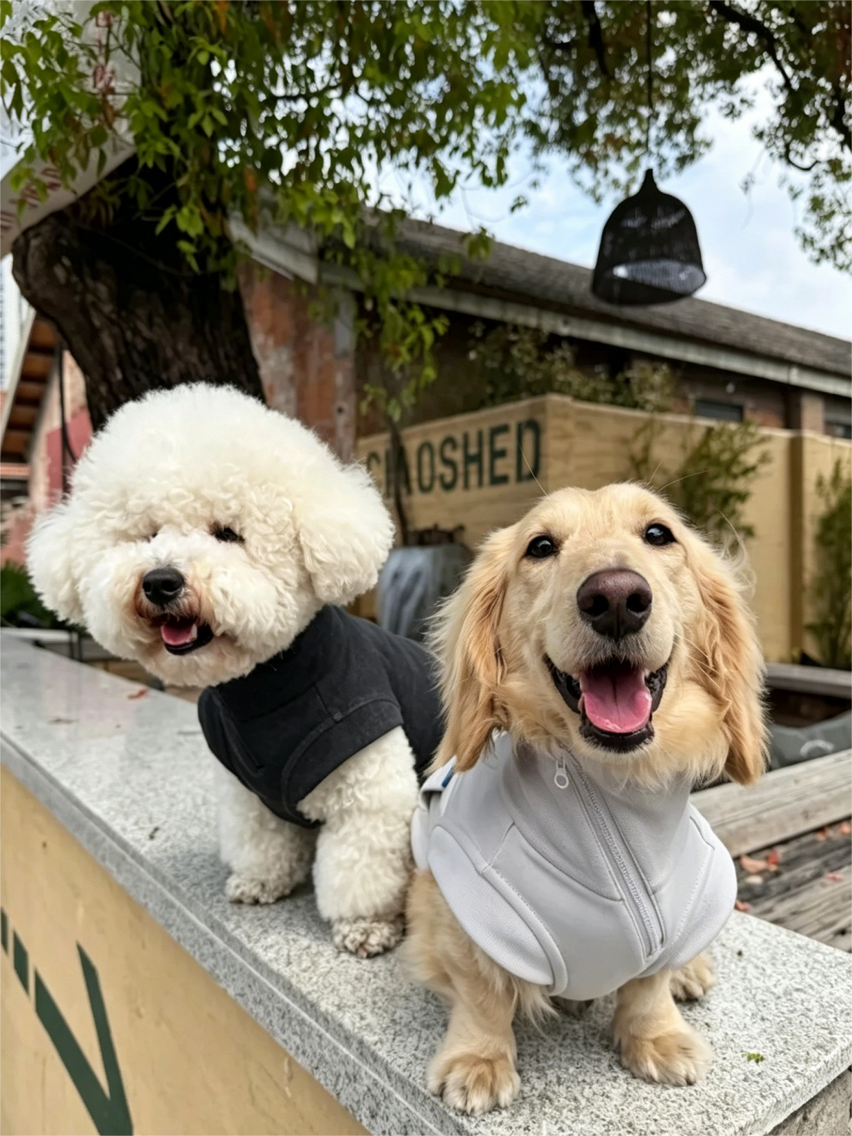 Color-blocked Lyocell turtleneck half-zip pet sweatshirt