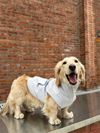 Color-blocked Lyocell turtleneck half-zip pet sweatshirt