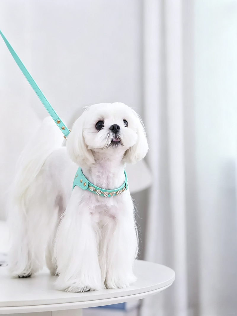 Colorful Diamond Pet Chestback