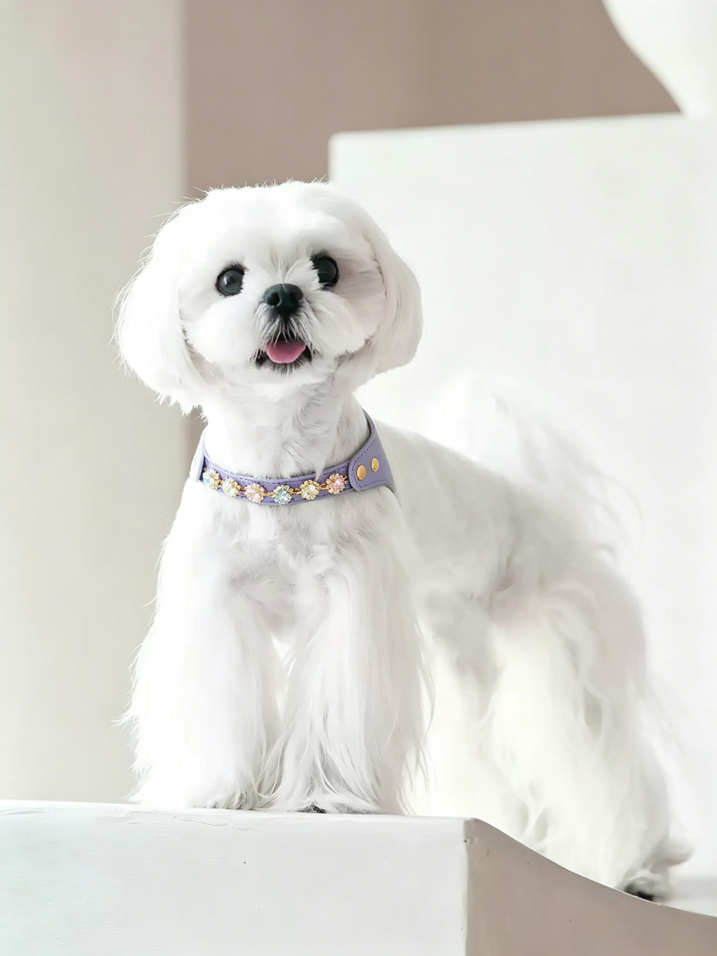 Colorful Diamond Pet Chestback