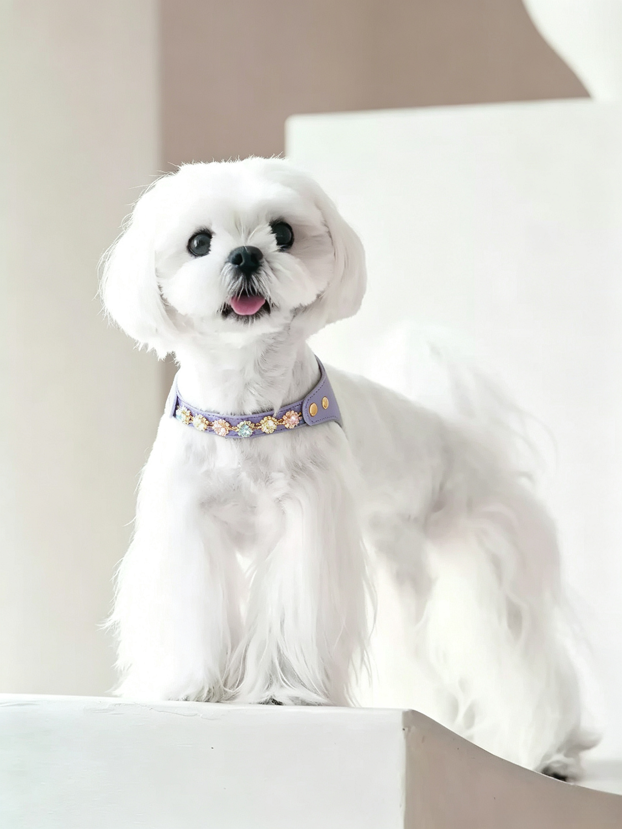 Colorful Diamond Pet Chestback