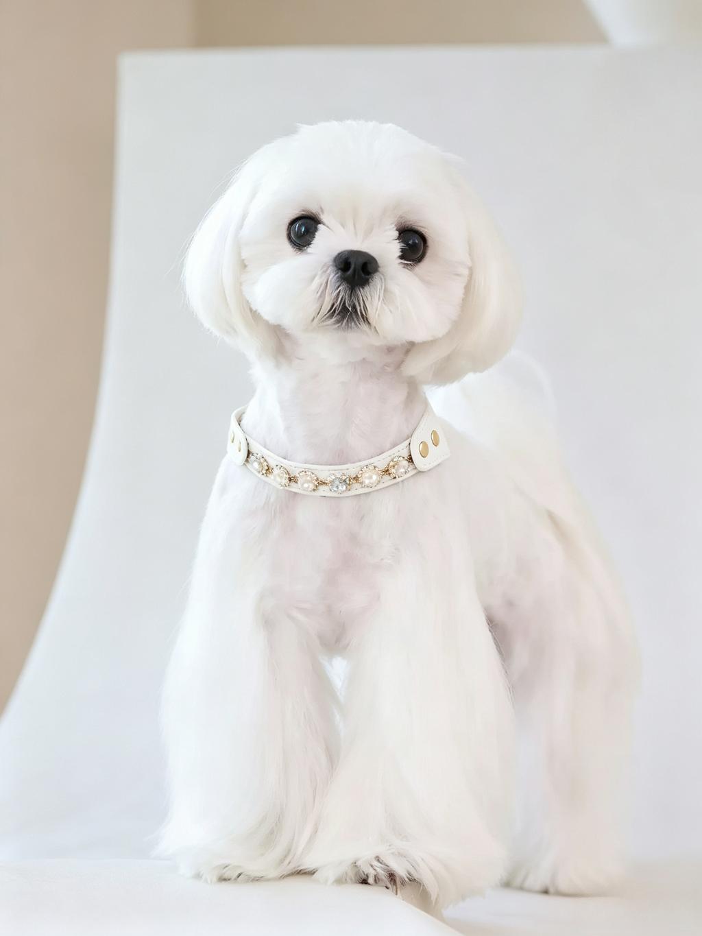 Colorful Diamond Pet Chestback