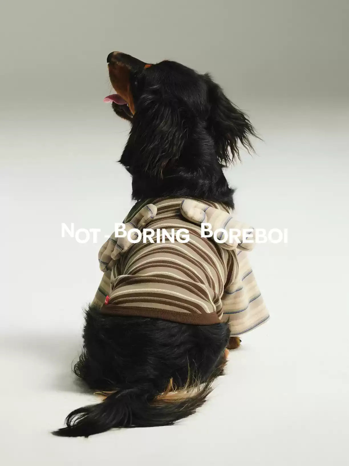 Contrast Stripe Small Wings Pet T-Shirt