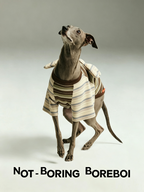 Contrast Stripe Small Wings Pet T-Shirt