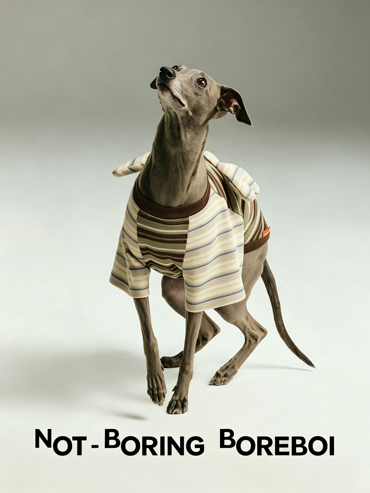 Contrast Stripe Small Wings Pet T-Shirt