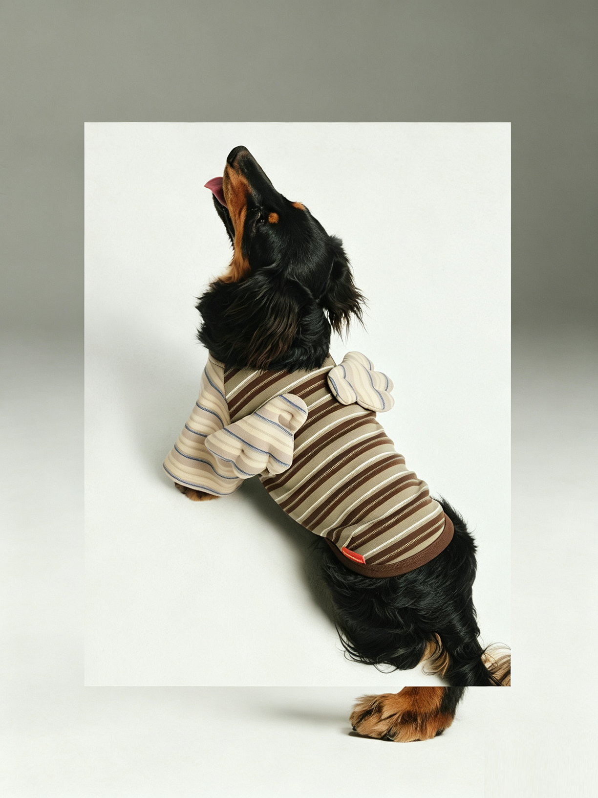 Contrast Stripe Small Wings Pet T-Shirt