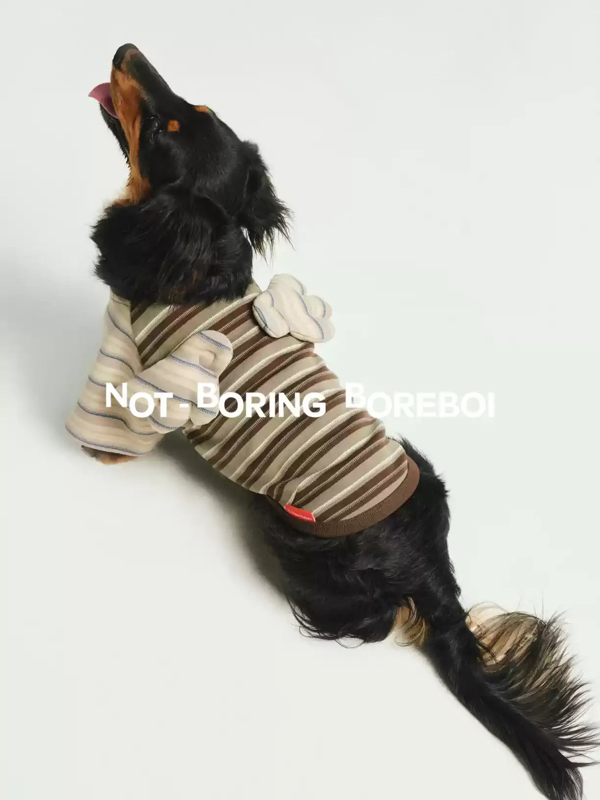 Contrast Stripe Small Wings Pet T-Shirt