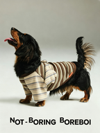 Contrast Stripe Small Wings Pet T-Shirt