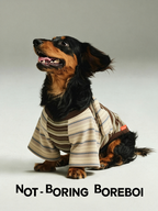 Contrast Stripe Small Wings Pet T-Shirt