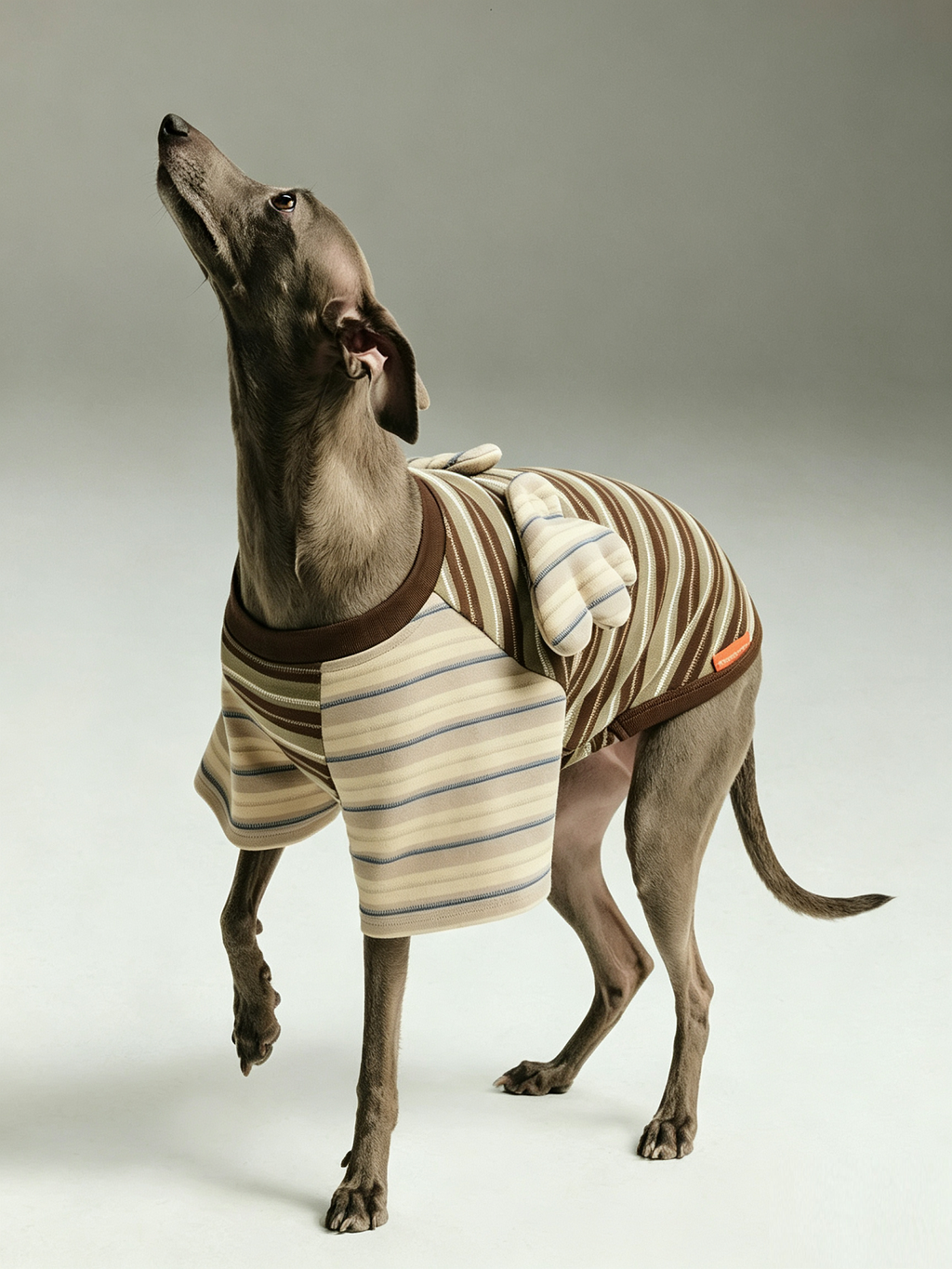 Contrast Stripe Small Wings Pet T-Shirt