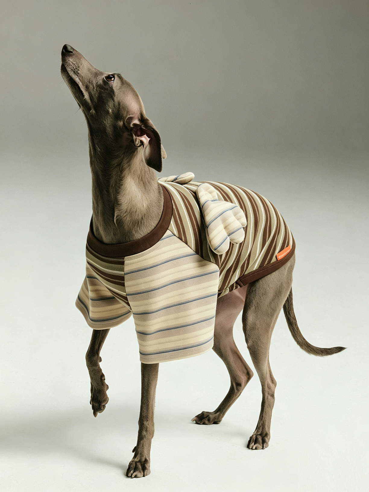 Contrast Stripe Small Wings Pet T-Shirt