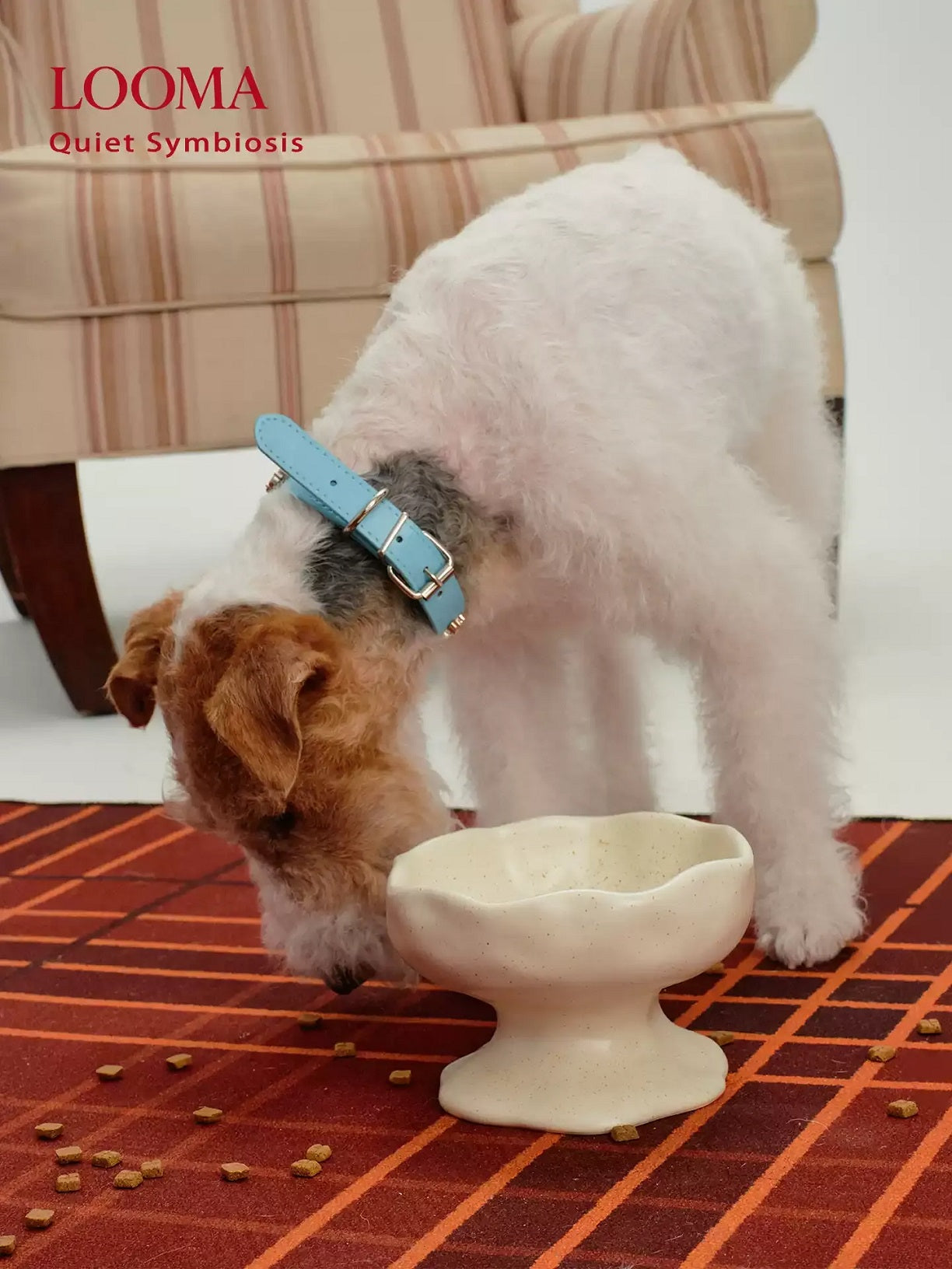 Creative Handmade Ceramic Pet Slow-Feeding Bowl