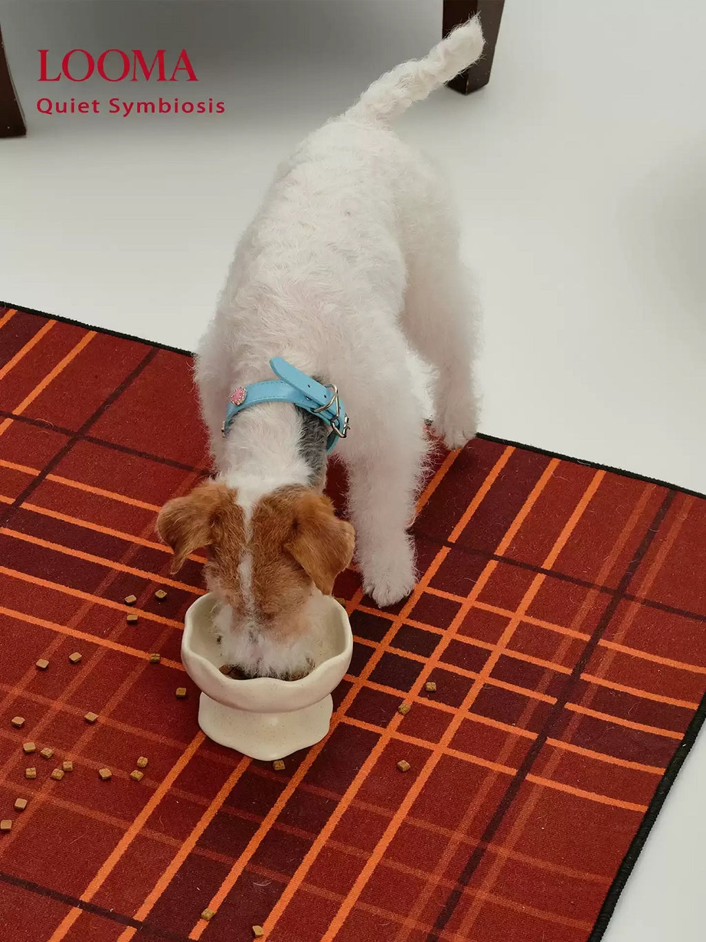 Creative Handmade Ceramic Pet Slow-Feeding Bowl
