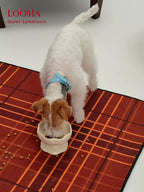 Creative Handmade Ceramic Pet Slow-Feeding Bowl