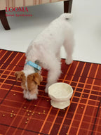 Creative Handmade Ceramic Pet Slow-Feeding Bowl