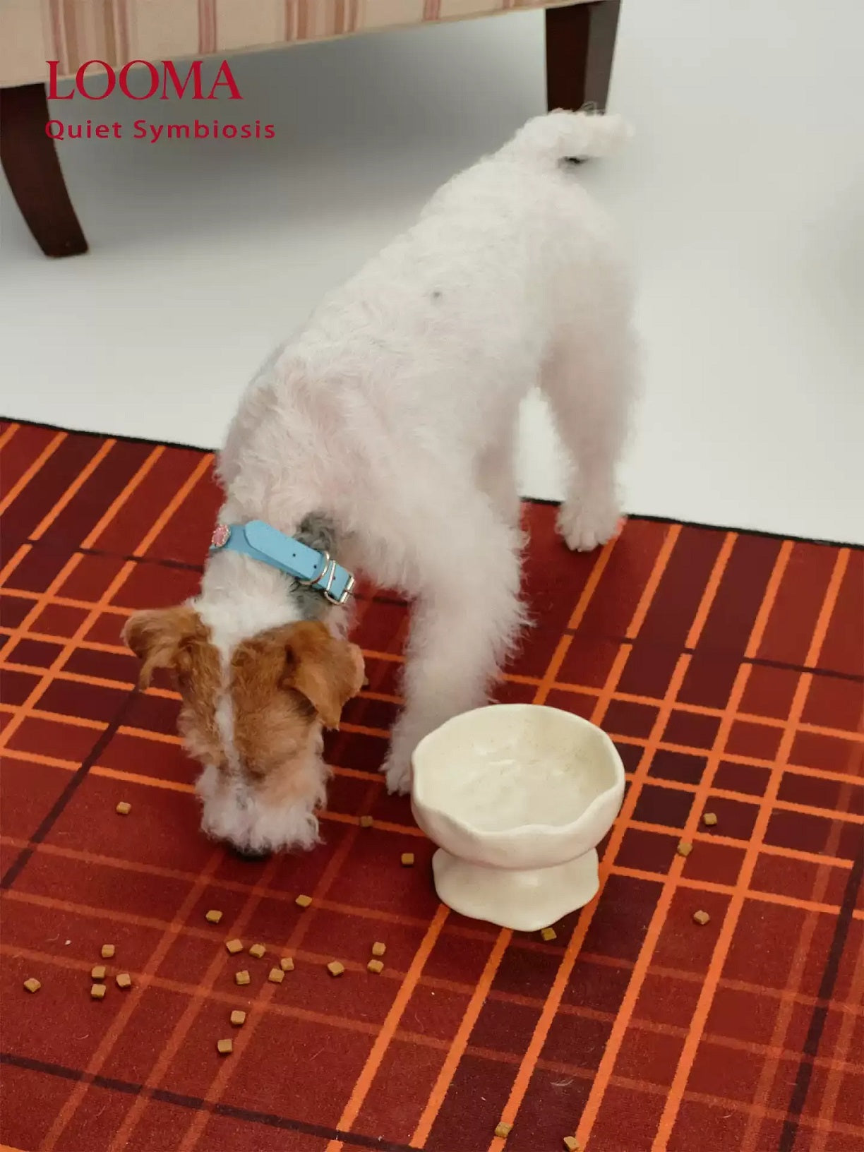 Creative Handmade Ceramic Pet Slow-Feeding Bowl