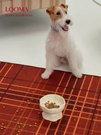 Creative Handmade Ceramic Pet Slow-Feeding Bowl