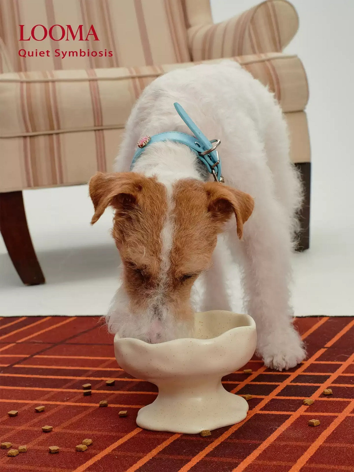 Creative Handmade Ceramic Pet Slow-Feeding Bowl